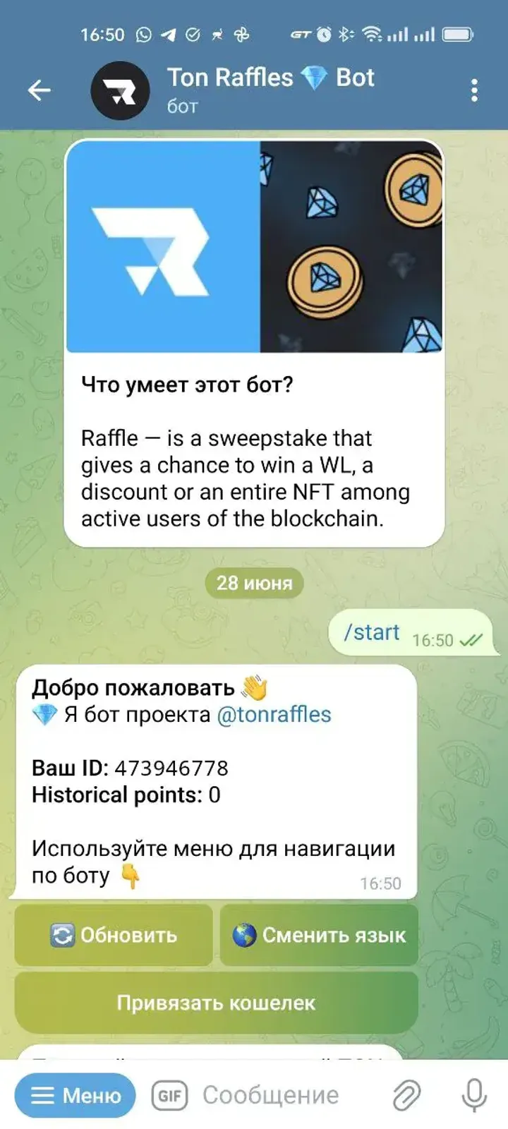 tonraffle_bot