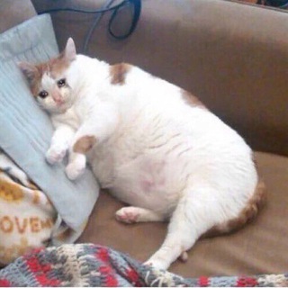 МОДусын на ТИКус ТОКусын